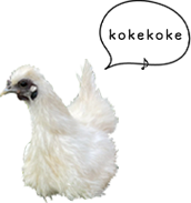 にわとり